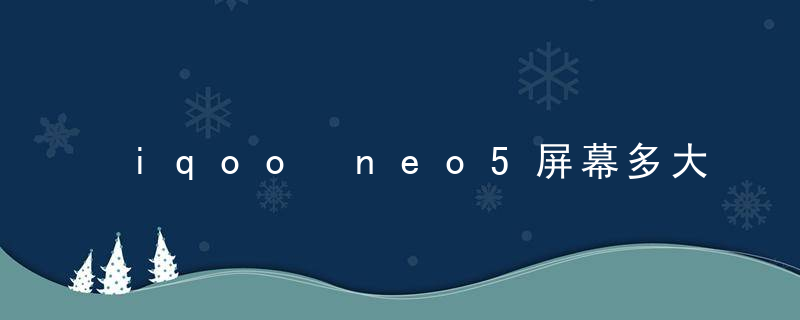 iqoo neo5屏幕多大